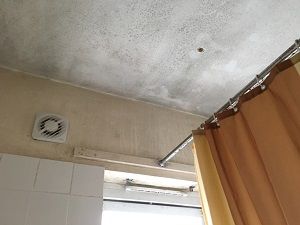 mould problem